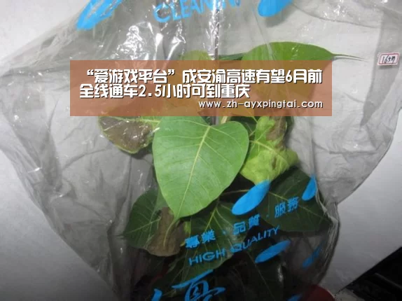“爱游戏平台”成安渝高速有望6月前全线通车2.5小时可到重庆